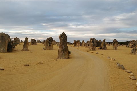 The Pinnacle Adventure Tour - Accommodation Brunswick Heads 1