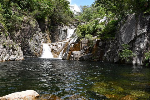 Behana Canyon Rainforest And Waterfall Experience - Accommodation Brunswick Heads 0