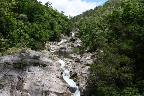 Behana Canyon Rainforest And Waterfall Experience - Accommodation Brunswick Heads 1