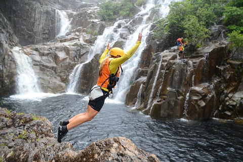 Behana Canyon Rainforest And Waterfall Experience - Accommodation Brunswick Heads 3