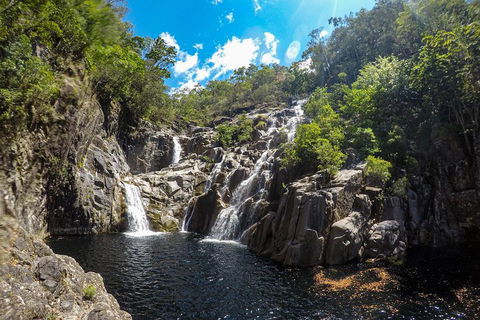 Behana Canyon Rainforest And Waterfall Experience - Accommodation Brunswick Heads 5