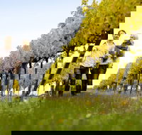 2-Day Private Daylesford  Macedon Ranges Gourmet Food Trail Tour from Melbourne - Accommodation Brunswick Heads