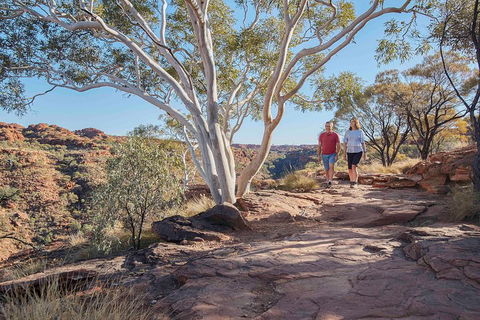 3-Day Tour From Uluru (Ayers Rock) To Alice Springs Via Kings Canyon - Accommodation Brunswick Heads 1