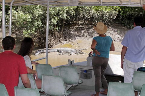 Whitsunday Crocodile Safari Including Lunch - Accommodation Brunswick Heads 4