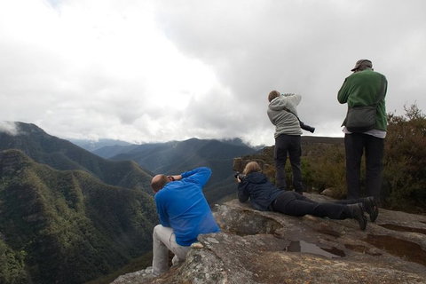 From The Mountains To The Bay - 4 Day Rediscovery Private Tour - Accommodation Brunswick Heads 4