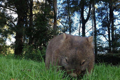 From The Mountains To The Bay - 4 Day Rediscovery Private Tour - Accommodation Brunswick Heads 5