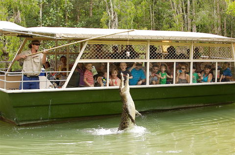 Hartley's Crocodile Adventure Half-Day Tour - Accommodation Brunswick Heads 0