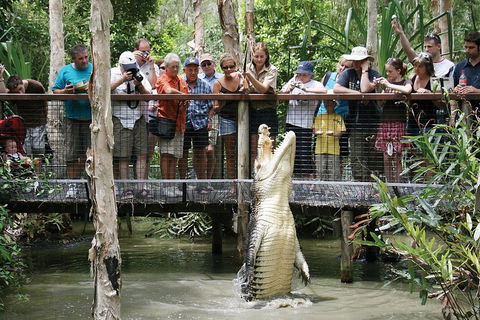 Hartley's Crocodile Adventure Half-Day Tour - Accommodation Brunswick Heads 1