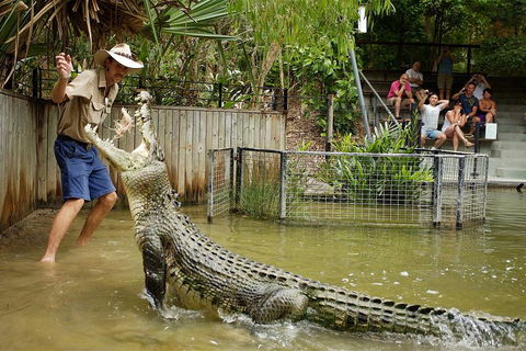 Hartley's Crocodile Adventure Half-Day Tour - Accommodation Brunswick Heads 2