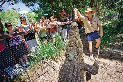 Hartley's Crocodile Adventure Half-Day Tour - Accommodation Brunswick Heads 4