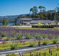 Private Hobart Discover South East Food and Scenic Tour - Accommodation Brunswick Heads