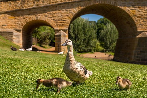 Richmond Historic Afternoon Tour From Hobart - Accommodation Brunswick Heads 1