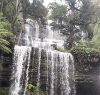 6-Day Hearty Tasmania Tour Tasmania in a Circle - Accommodation Brunswick Heads