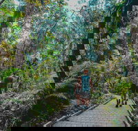 Full Day Cooktown Private Tour - Accommodation Brunswick Heads