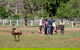 Yura Udnyu - Our Culture, Your Culture (Aboriginal Cultural Walk) - thumb 1
