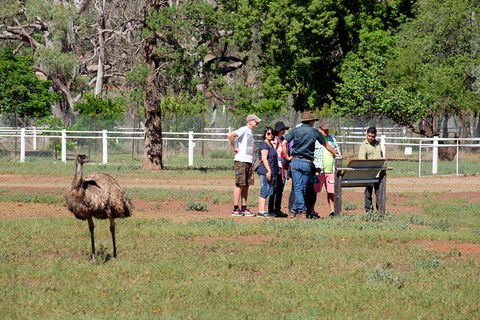 Yura Udnyu - Our Culture, Your Culture (Aboriginal Cultural Walk) - Accommodation Brunswick Heads 1