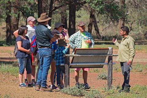Yura Udnyu - Our Culture, Your Culture (Aboriginal Cultural Walk) - Accommodation Brunswick Heads 2