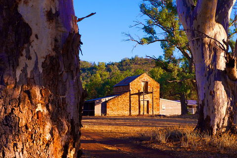 Yura Udnyu - Our Culture, Your Culture (Aboriginal Cultural Walk) - Accommodation Brunswick Heads 4