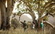 Yura Udnyu - Our Culture, Your Culture (Aboriginal Cultural Walk) - thumb 5