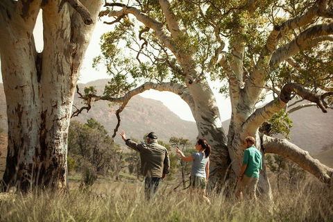 Yura Udnyu - Our Culture, Your Culture (Aboriginal Cultural Walk) - Accommodation Brunswick Heads 5