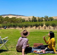 Private Picnic and Wine Tasting Experience in Barossa Valley - Accommodation Brunswick Heads