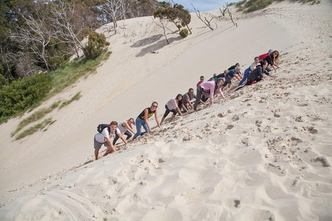 3 Day Tasmanian Wild West Coast Tour From Hobart To Launceston - Accommodation Brunswick Heads 2