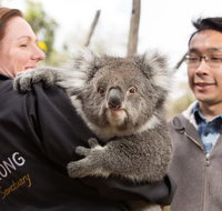 Bonorong Wildlife Park and Richmond Afternoon Tour from Hobart - Accommodation Brunswick Heads