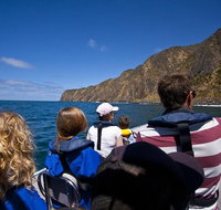 Seal Island Boat Tour from Victor Harbor - Accommodation Brunswick Heads
