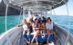 Seal Island Boat Tour From Victor Harbor - thumb 1