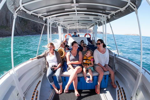 Seal Island Boat Tour From Victor Harbor - Accommodation Brunswick Heads 1