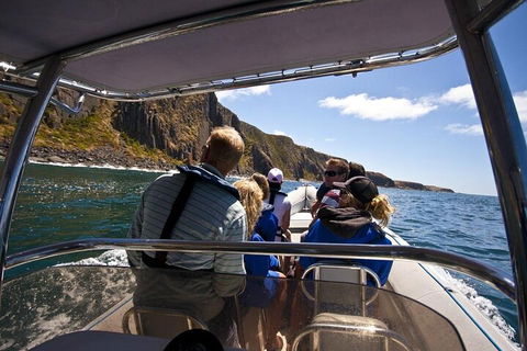 Seal Island Boat Tour From Victor Harbor - Accommodation Brunswick Heads 2