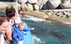 Seal Island Boat Tour From Victor Harbor - thumb 4