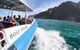 Southern Ocean Adventure From Victor Harbor - thumb 0
