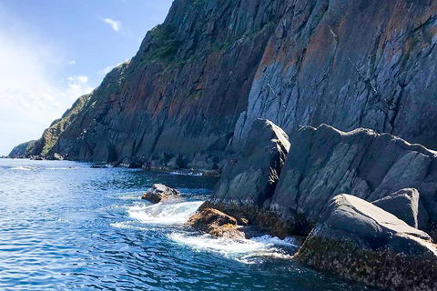 Southern Ocean Adventure From Victor Harbor - Accommodation Brunswick Heads 3