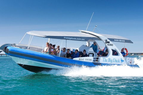 Southern Ocean Adventure From Victor Harbor - Accommodation Brunswick Heads 5