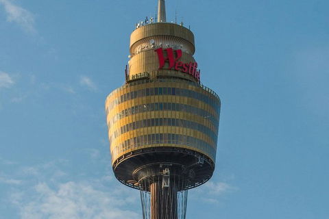 Hop-On Hop-Off Bus And PLUS 4 Merlin Attractions - Accommodation Brunswick Heads 3