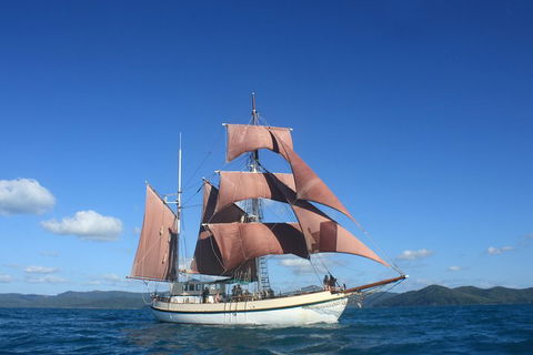 Sydney Harbour Tall Ship Whale & Sail - Whale Watching Cruise - Accommodation Brunswick Heads 1