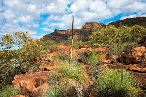 6-Day Eyre Peninsula & Flinders Ranges Adventure Tour - Accommodation Brunswick Heads 1