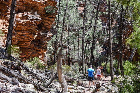 6-Day Eyre Peninsula & Flinders Ranges Adventure Tour - Accommodation Brunswick Heads 5
