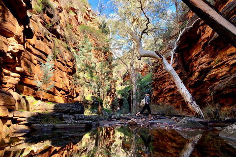 10-Day Adelaide To Perth Adventure Tour - Accommodation Brunswick Heads 5