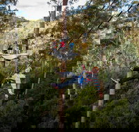 Hollybank Wilderness Adventure - Zipline Tours - Accommodation Brunswick Heads