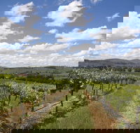 Hunter Valley Wine Tour from Sydney incl Lunch Cheese Chocolate and Distillery - Accommodation Brunswick Heads