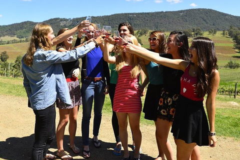 Hunter Valley Wine Tour From Sydney Incl Lunch, Cheese, Chocolate And Distillery - Accommodation Brunswick Heads 3