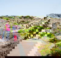 Margaret River Coastal and Wildlife Eco Trip from Busselton or Dunsborough - Accommodation Brunswick Heads